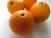 食堂ブログ